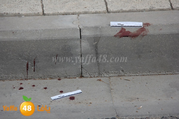 ta3n n 11123 (2).JPG